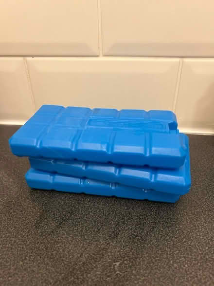 Photo of free Small freezer blocks (Hove) #1