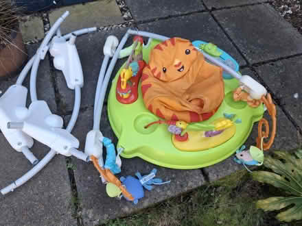 Photo of free Fisher Price Jumperoo (OX14, Abingdon) #1