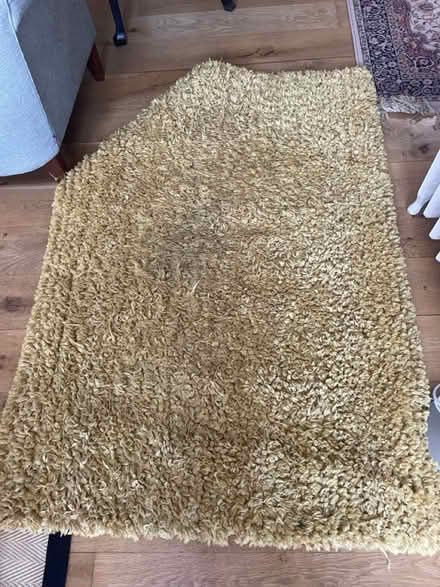 Photo of free Rugs (Malone road) #2