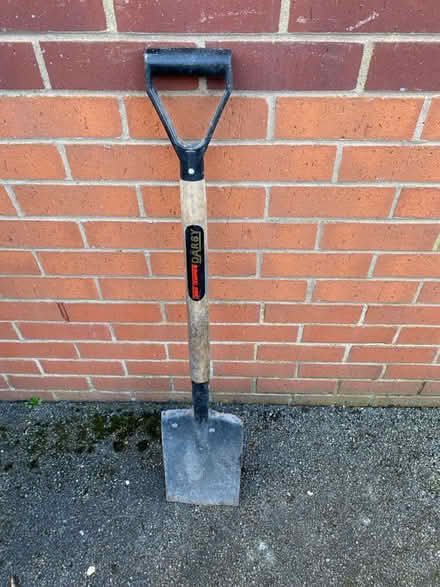 Photo of free Spade (Oakwood derby) #1