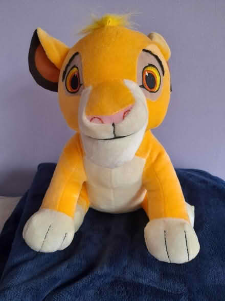 Photo of free Simba Cuddly Toy (Colwick NG4) #2