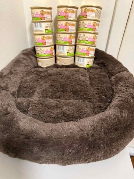 Photo of free Kitten size bed and kitten wet food (Lower East Side) #1