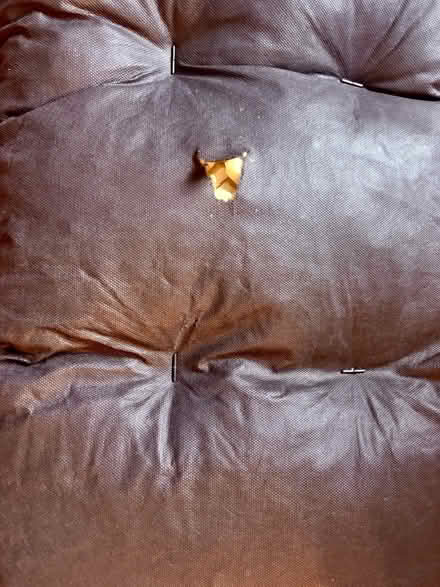 Photo of free Garden Recliner with Seat Pad (Oswestry SY11) #3