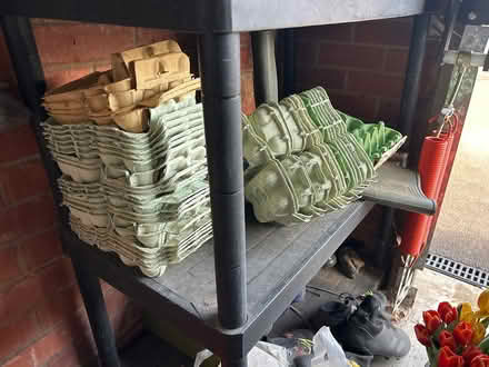 Photo of free Egg Boxes (DE3) #1