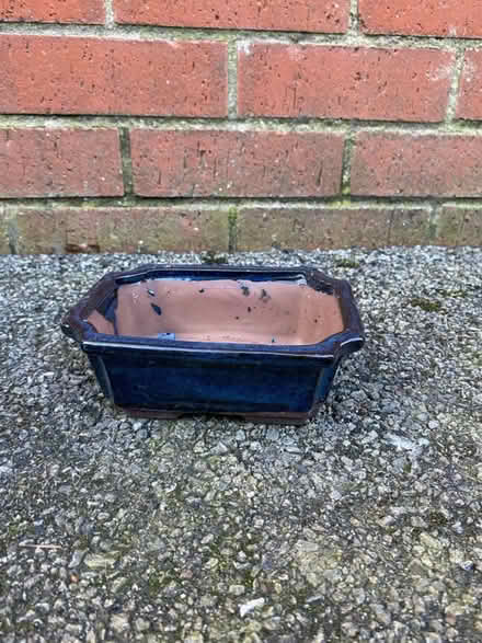 Photo of free Small plant pot (Oakwood derby) #1