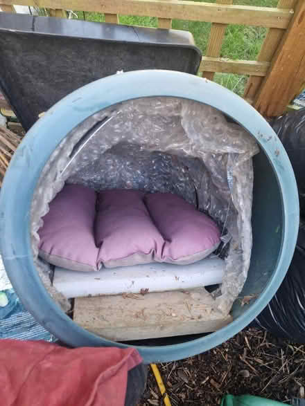 Photo of free Homemade outdoor cat shelter (Broxbourne EN10) #1