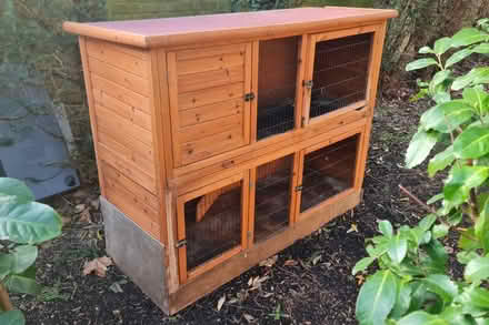 Photo of free rabbits' hutch (Croydon, CR0) #3