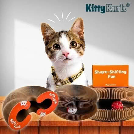 Photo of free Kitty Kurlz cat toy (Stelling Rd/Waterford Dr area) #1
