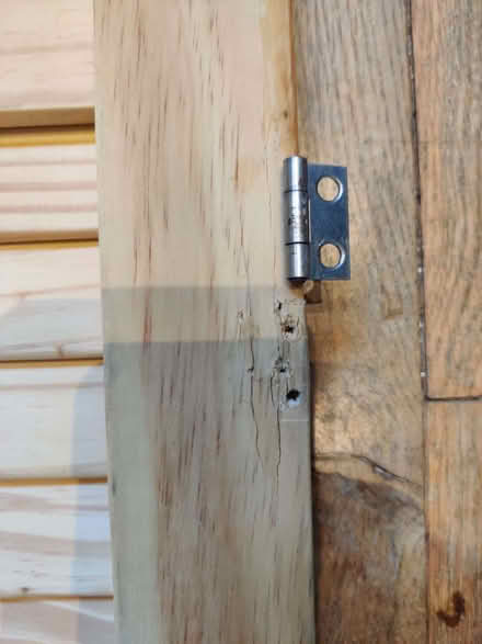 Photo of free Pine louvre cupboard doors (Meersbrook S8) #3