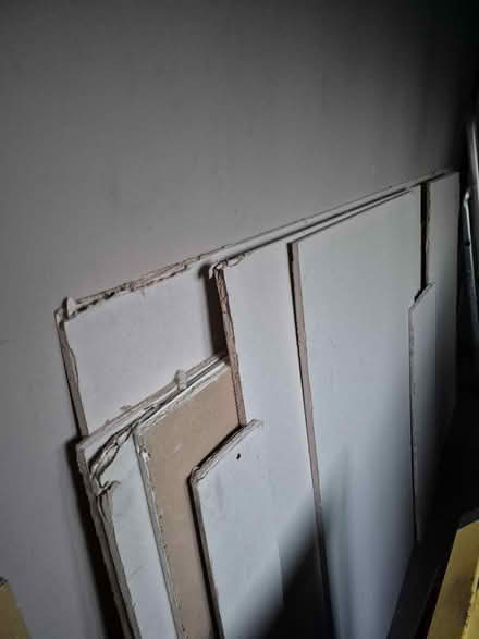 Photo of free Plasterboard (CB23) #1