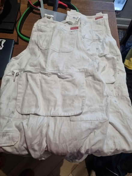 Photo of free Painting overalls (Coldean BN1) #1