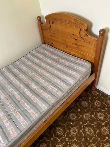 Photo of free Single bed (Stanwell Village TW19) #2