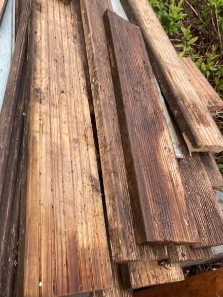 Photo of free 8” x 8” SHED already Dismantled (Glastonbury BA6) #4