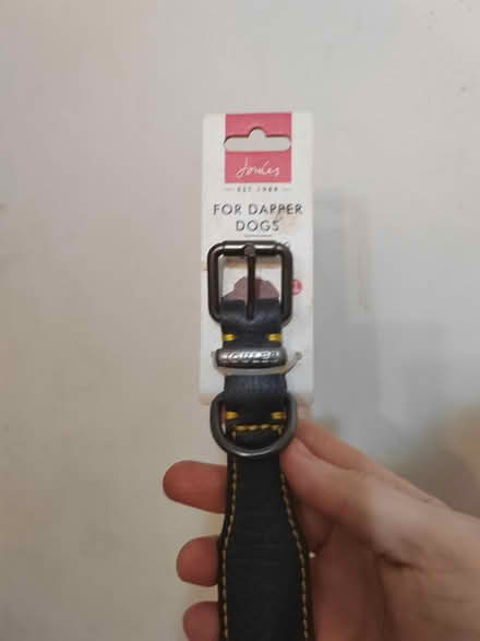 Photo of free Joules leather dog collar x large (Whittlesey) #1