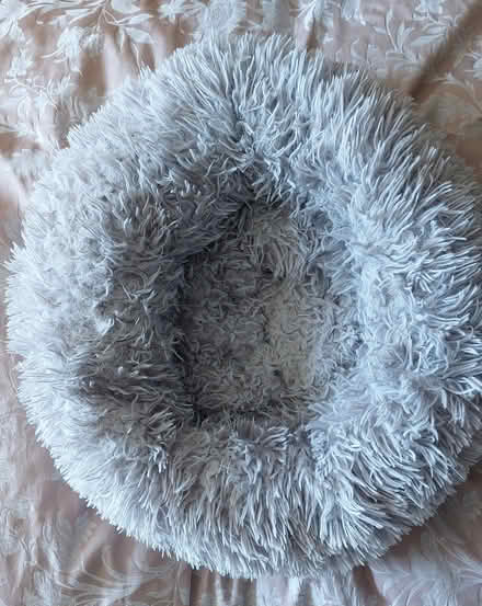 Photo of free Fluffy cat bed (St Albans Jersey Farm AL4) #1