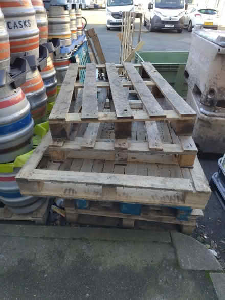 Photo of free Various pallets (L20) #1