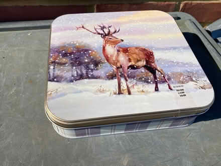 Photo of free Replacement Xmas bulbs (Cheshunt EN7) #2