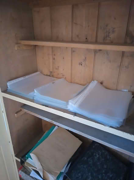 Photo of free A4 plastic file sleeves (East Lavant PO19) #1