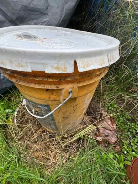 Photo of free Latex paint (Shoreline) #2