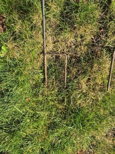 Photo of free Garden Ornaments x4 (Sudbury CO10) #3