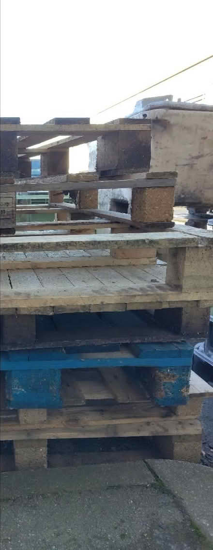 Photo of free Various pallets (L20) #2