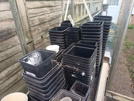 Photo of free Square plant pots 3 to 6 inch (St Nicholas SG1) #1
