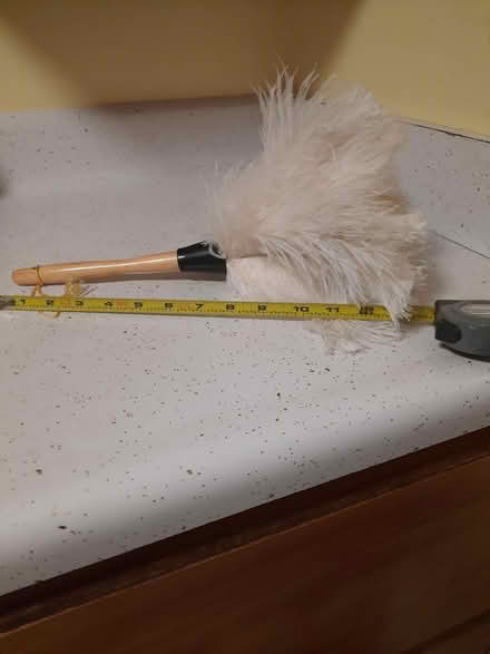 Photo of free Cleaning items (Kips Bay, Manhattan) #1