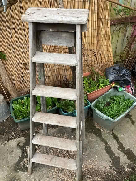 Photo of free Old,Solid wooden steeps (Glastonbury BA6) #2