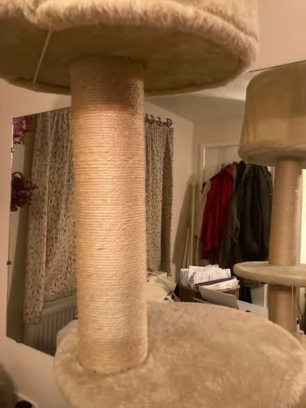 Photo of free Floor to ceiling cat tree (Glastonbury BA6) #4