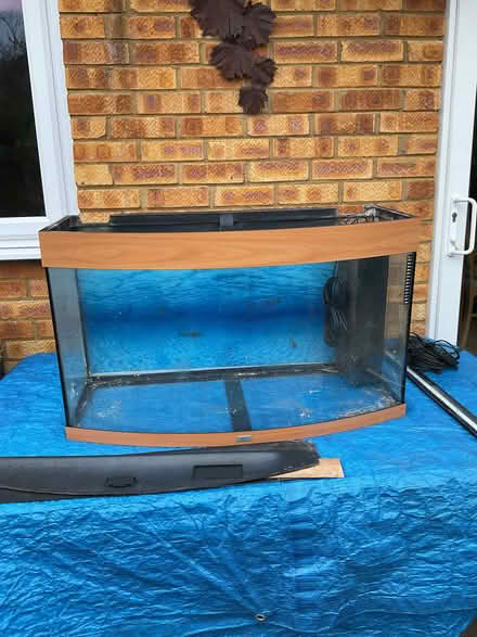 Photo of free Aquarium (Whitehill SG4) #1