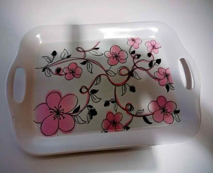 Photo of free Tray (Eastbourne BN22) #1