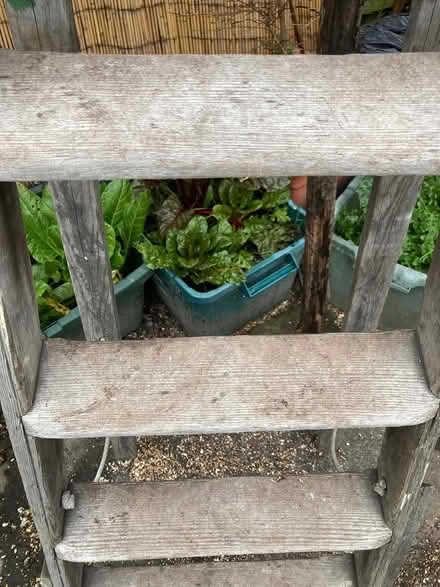 Photo of free Old,Solid wooden steeps (Glastonbury BA6) #3