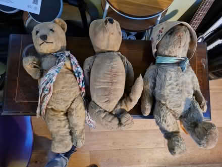 Photo of free Vintage Teddy bears (Biggleswade) #1