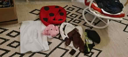 Photo of free Kids dressing up (Rochester ME1) #1