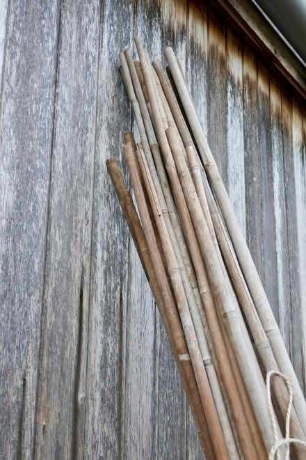 Photo of free Bamboo canes (Freshford) #2
