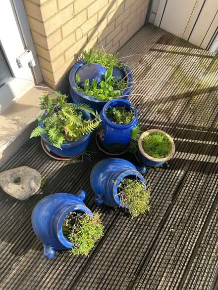 Photo of free Blue Planter/Plant Pots (Cardiff) #1