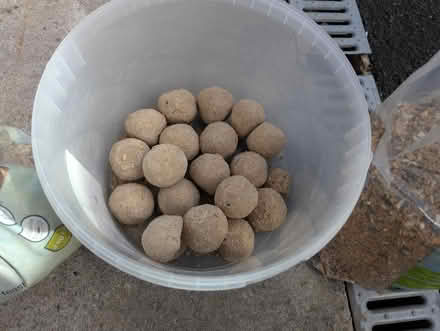 Photo of free Bird seed and fat balls (SK8 Gatley) #3