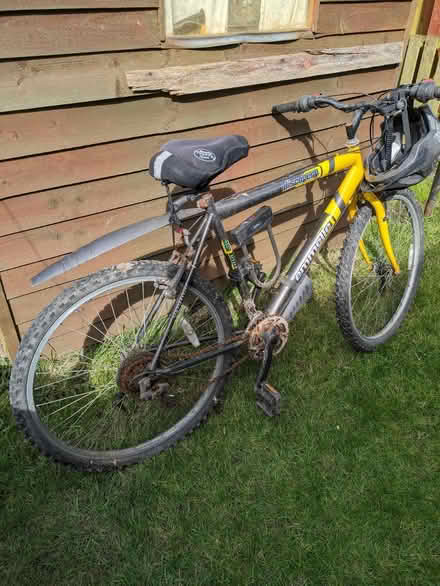 Photo of free Mountain bike (Seaton Burn NE13) #2
