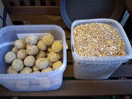 Photo of free Bird food (Great Amwell SG12) #1