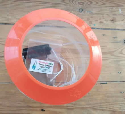 Photo of free Sea monkey / brine shrimp eggs plus tank (Rodbourne SN2) #1