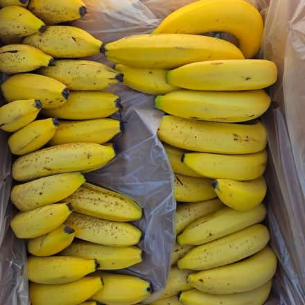 Photo of free Ripe Bananas (Chiquita Av MtnVw) #3