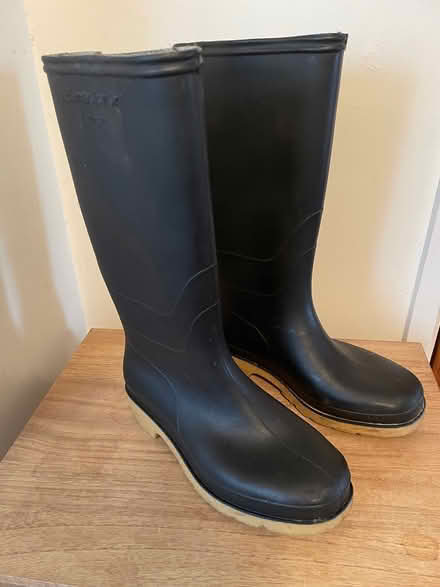 Photo of free Ladies Wellies (Crawley RH10) #1