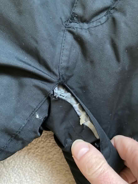 Photo of free Ski / Snowboard Trousers (North Tonbridge TN10) #2
