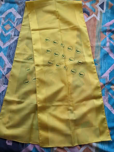 Photo of free Scarf with green Springbok design (Caversham Park RG4) #1
