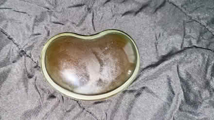 Photo of free Wrist support and long desk mat (Boulder Ridge Apartments) #1