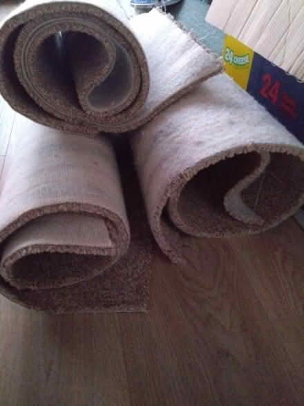 Photo of free Carpet offcuts (Coventry CV6) #2