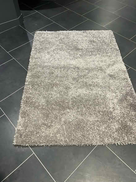 Photo of free deep pile rug (Gorgie EH11) #1
