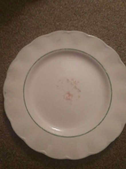 Photo of free Vintage Dinner Plate (Leighton buzzard LU7) #1