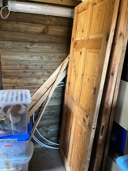 Photo of free pine internal doors x4 (LE67 Markfield) #1