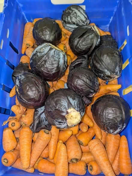 Photo of free 4 crates of carrots and cabbage (E14 Isle of Dogs) #2